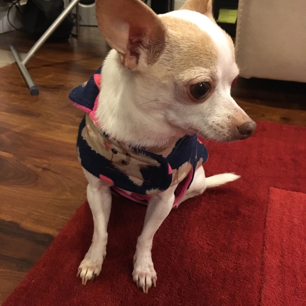 Handmade dog jacket ๐ dog sweater - Picture 4 of 7